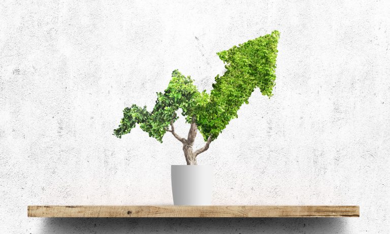 Plante formet som en pil som peker opp.