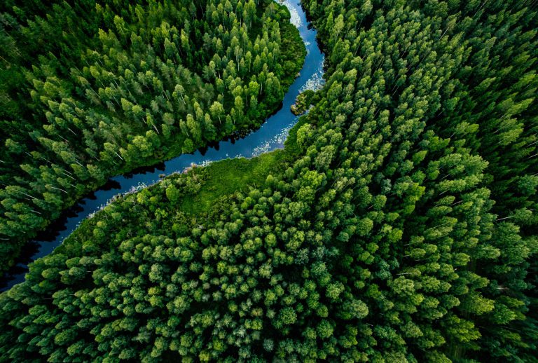 Stor skog med elv midt på, sett ovenfra.